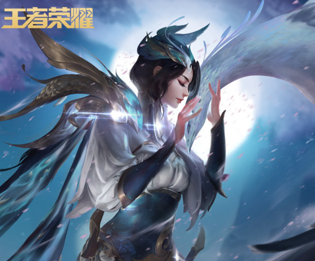 球队维度